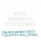 Y22L01P01101R_28194C