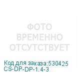 CS-DP-DP-1.4-3