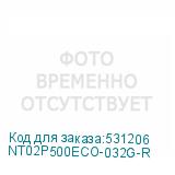 NT02P500ECO-032G-R