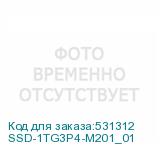SSD-1TG3P4-M201_01