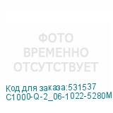 C1000-Q-2_06-1022-5280M6_1