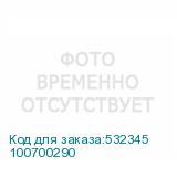 100700290