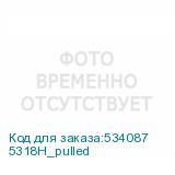 5318H_pulled