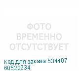 60520234