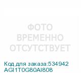 AGI1T0G80AI808