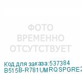 B515B-R781UMRQSPGRE2