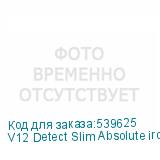 V12 Detect Slim Absolute iron gold 448870-01