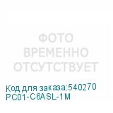 PC01-C6ASL-1M