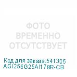 AGI256G25AI178R-CB