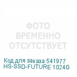HS-SSD-FUTURE 1024G