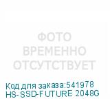 HS-SSD-FUTURE 2048G