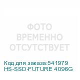 HS-SSD-FUTURE 4096G