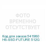HS-SSD-FUTURE 512G