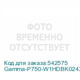 Gamma-P750-W1HDBK024X-EU