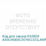 AX5U6000C3016G-DCLANRSG