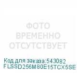 FLSSD256M80E15TCX5SE