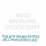 JBLCHARGE6SQUAD