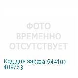 409753