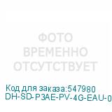DH-SD-P3AE-PV-4G-EAU-0400B