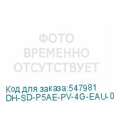 DH-SD-P5AE-PV-4G-EAU-0400B