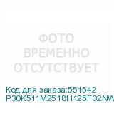 P30K511M2518H125F02NWNFTNN3