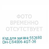 DH-CS4006-4GT-36