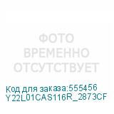 Y22L01CAS116R_2873CF