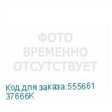 37666K