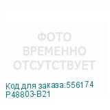 P48803-B21