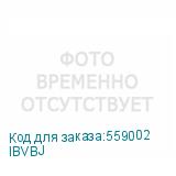 IBVBJ