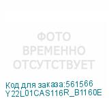 Y22L01CAS116R_B1160E