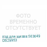 DS29953