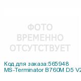MS-Terminator B760M D5 V2