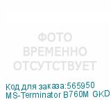 MS-Terminator B760M GKD5 ICE