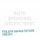 24B36X