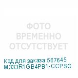 M333R1GB4PB1-CCPSG