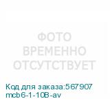 mcb6-1-10B-av