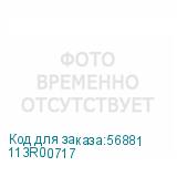 113R00717
