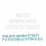 P3-KN1000-G1FFBK0-EU