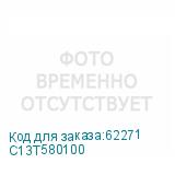 C13T580100