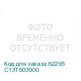 C13T603900