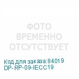 DP-RP-09-IECC19