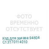 C13T70114010