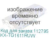 KX-TG1611RUW