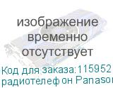 радиотелефон Panasonic KX-TG1711RUB