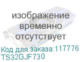 TS32GJF730