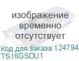 TS16GSDU1