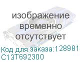 C13T692300