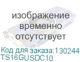 TS16GUSDC10