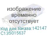 C13S015637